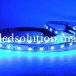 Ruban LED 12V SMD5050 72W IP20 Bobine 5 mètres - Maroc – Image 2